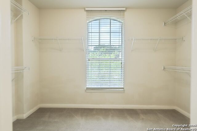 Image 16 of 25 For 20602 Meandering