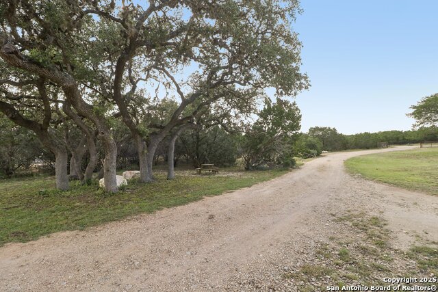 Listing photo id 0 for 160 Deer View