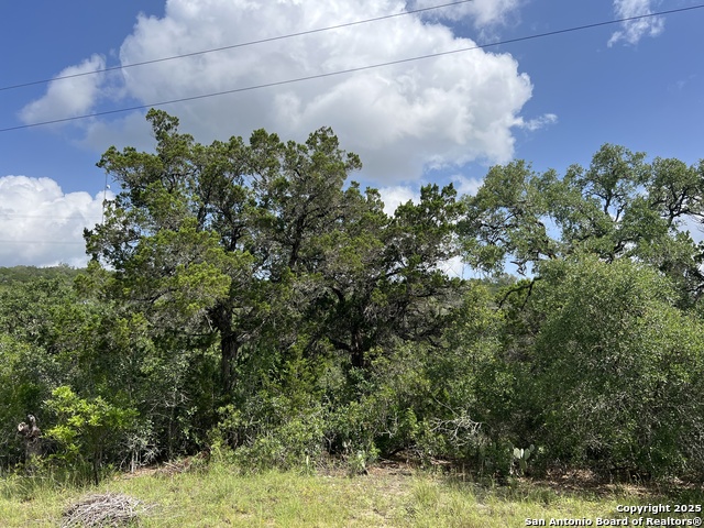 Image 21 of 35 For 19031 Bandera Rd