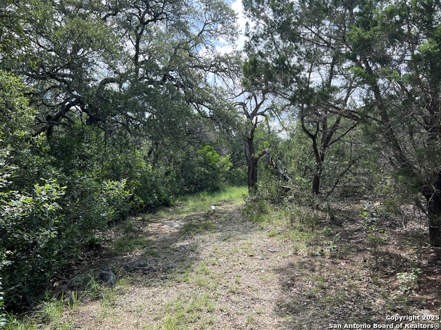 Image 23 of 35 For 19031 Bandera Rd