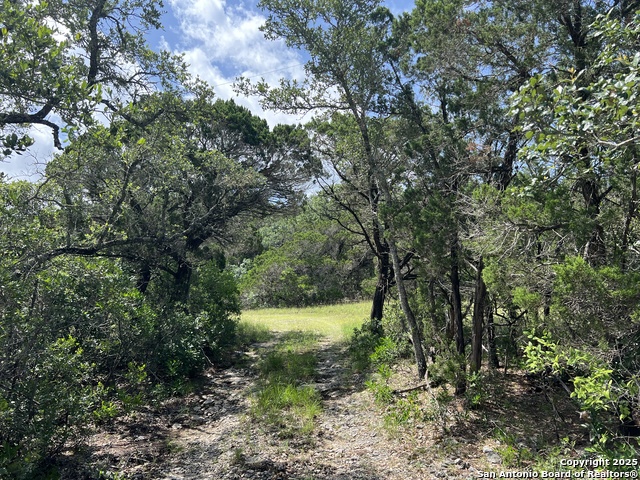 Image 25 of 35 For 19031 Bandera Rd