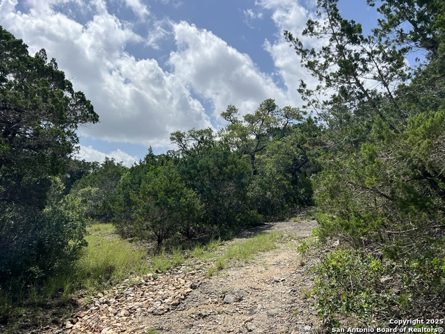 Image 26 of 35 For 19031 Bandera Rd
