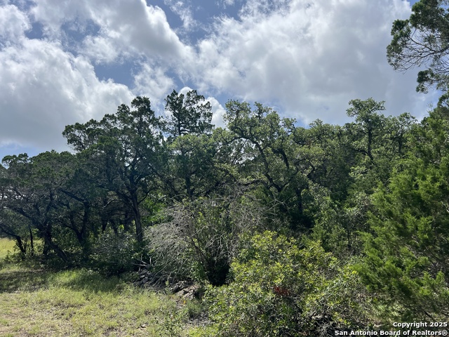 Image 30 of 35 For 19031 Bandera Rd