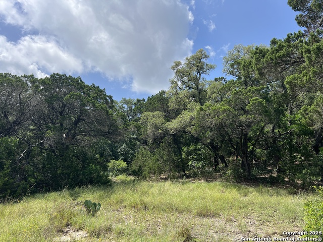 Image 34 of 35 For 19031 Bandera Rd
