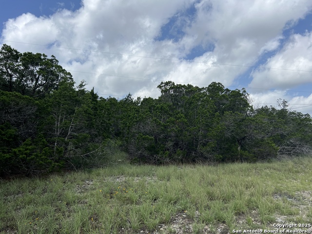 Image 35 of 35 For 19031 Bandera Rd