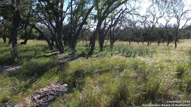 Image 10 of 12 For Lot 10 Rustler Ridge