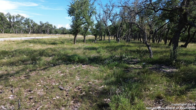 Image 11 of 12 For Lot 10 Rustler Ridge