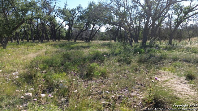 Image 12 of 12 For Lot 10 Rustler Ridge