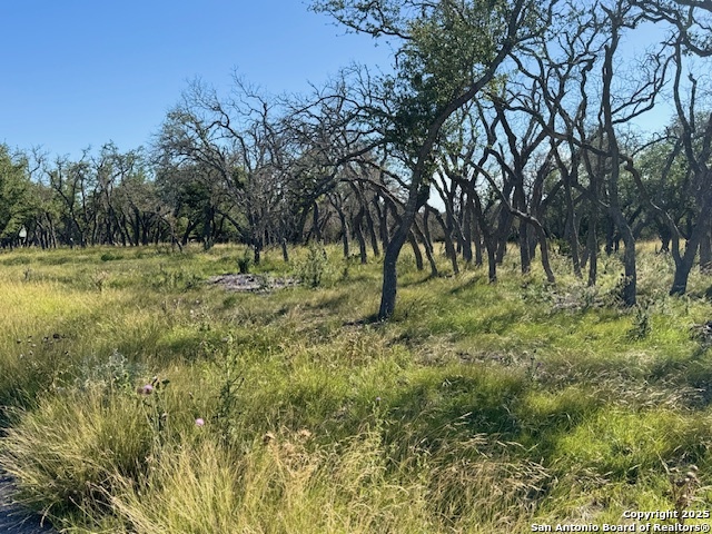 Image 3 of 12 For Lot 10 Rustler Ridge