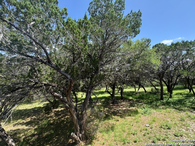 Image 46 of 57 For 354 Red Bluff