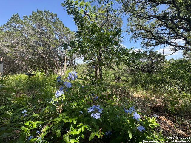 Image 47 of 57 For 354 Red Bluff