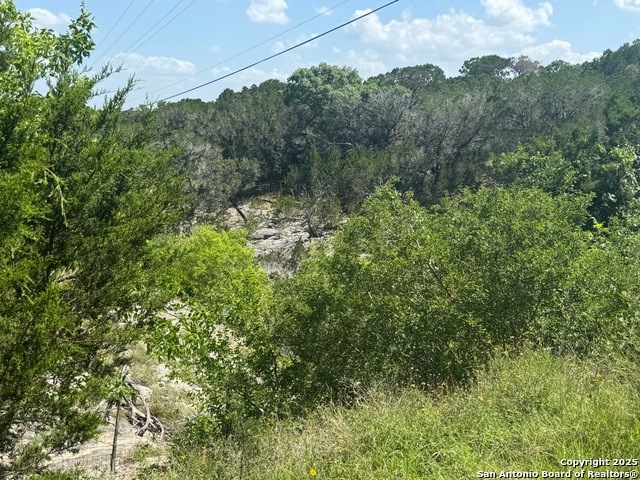 Image 49 of 57 For 354 Red Bluff