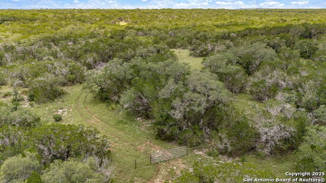 Listing photo id 15 for 4601 County Road 251