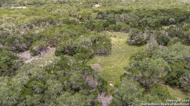 Listing photo id 16 for 4601 County Road 251