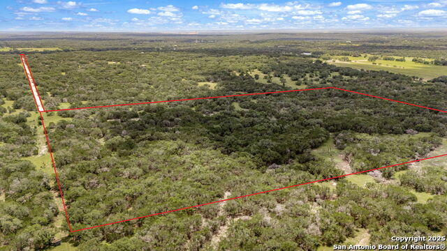 Listing photo id 0 for 4601 County Road 251