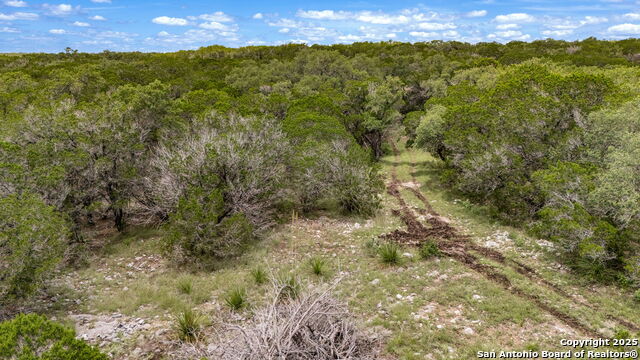 Listing photo id 18 for 4601 County Road 251