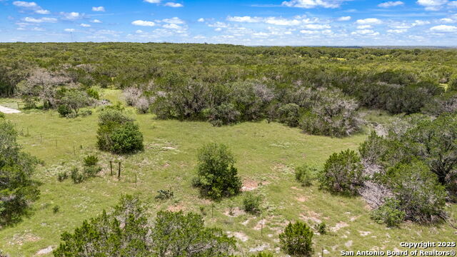 Listing photo id 19 for 4601 County Road 251
