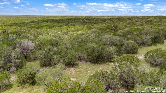 Listing photo id 20 for 4601 County Road 251