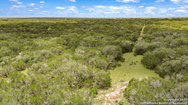 Listing photo id 21 for 4601 County Road 251