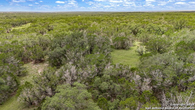 Listing photo id 22 for 4601 County Road 251