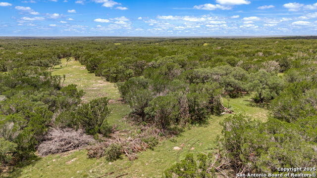 Listing photo id 25 for 4601 County Road 251