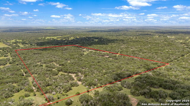 Listing photo id 1 for 4601 County Road 251