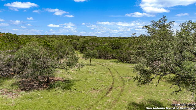 Listing photo id 28 for 4601 County Road 251
