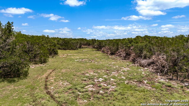 Listing photo id 29 for 4601 County Road 251