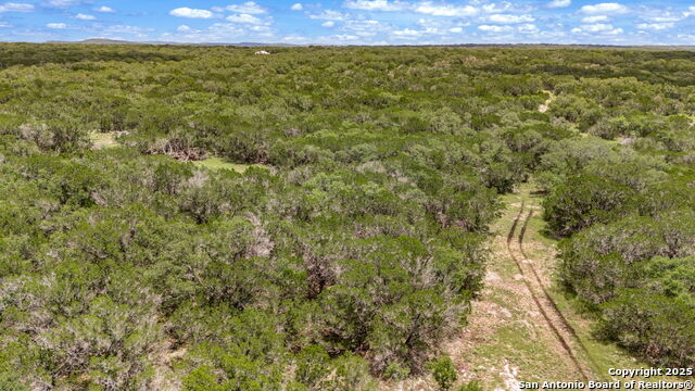 Listing photo id 30 for 4601 County Road 251
