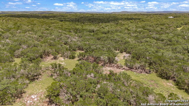 Listing photo id 31 for 4601 County Road 251