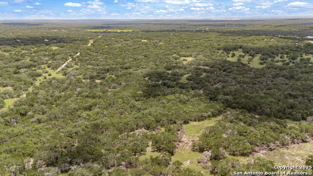 Listing photo id 41 for 4601 County Road 251