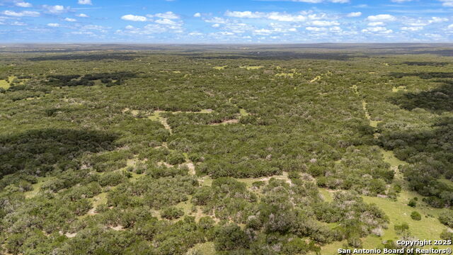 Listing photo id 46 for 4601 County Road 251