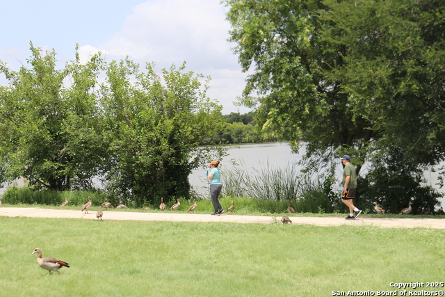 Image 17 of 25 For 1703 Texas  