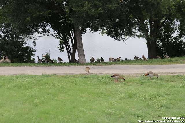 Image 18 of 25 For 1703 Texas  