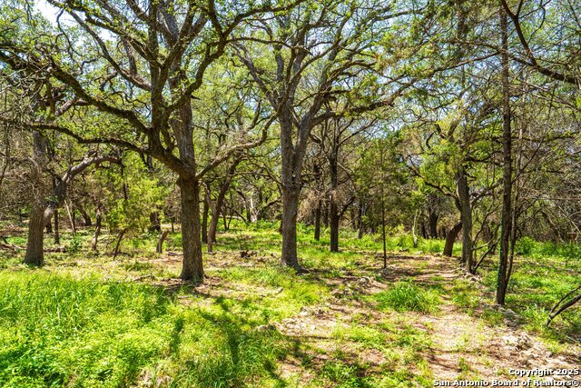 Image 11 of 15 For 127 Kings Way