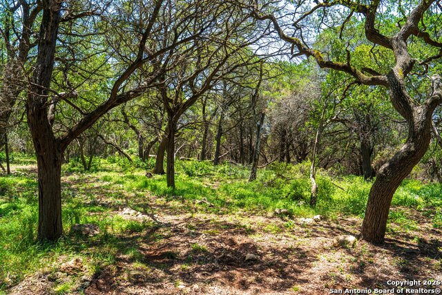 Image 12 of 15 For 127 Kings Way