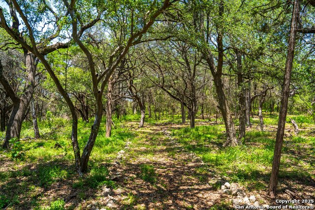 Image 13 of 15 For 127 Kings Way