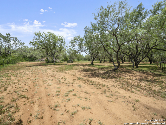 Image 47 of 48 For 590 County Road 431