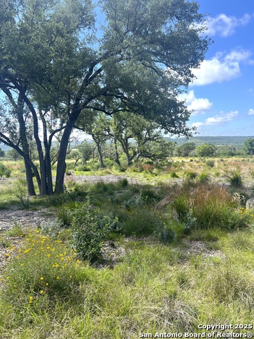 Image 11 of 33 For 0000 Citadel