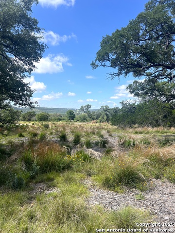 Image 12 of 33 For 0000 Citadel