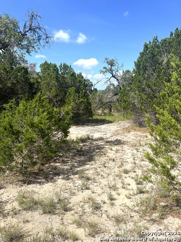 Image 13 of 33 For 0000 Citadel