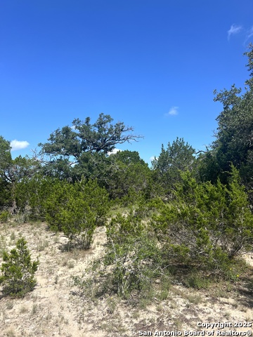 Image 14 of 33 For 0000 Citadel