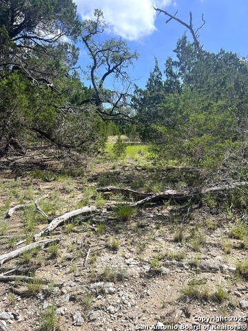 Image 15 of 33 For 0000 Citadel