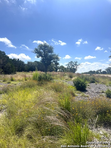 Image 18 of 33 For 0000 Citadel