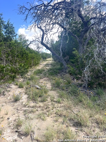 Image 19 of 33 For 0000 Citadel