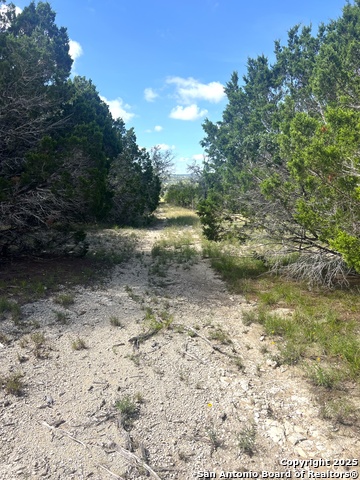 Image 22 of 33 For 0000 Citadel