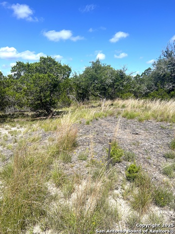 Image 24 of 33 For 0000 Citadel