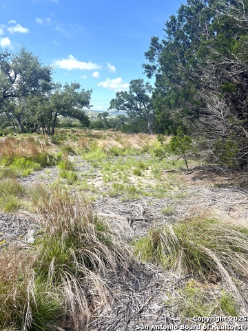 Image 29 of 33 For 0000 Citadel