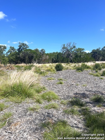 Image 3 of 33 For 0000 Citadel