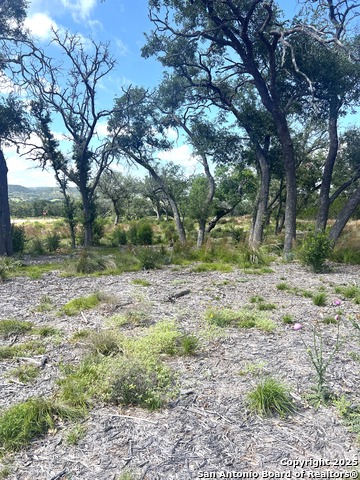 Image 30 of 33 For 0000 Citadel